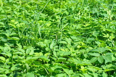 Similar image 21418234