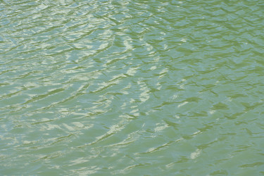 Similar image 21420694