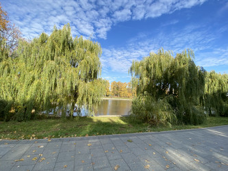 Similar image 21420696