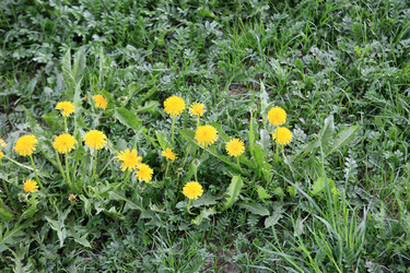 Similar image 21420697