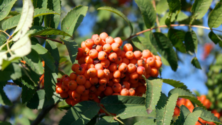 Similar image 21420700