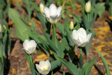 Similar image 21420701