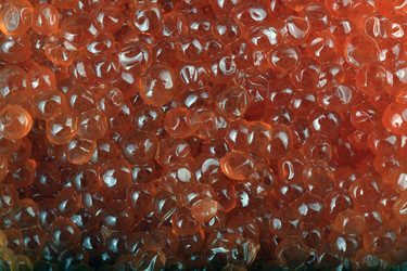 Similar image 21420703