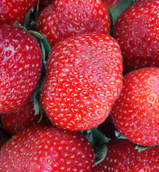 Similar image 21420705