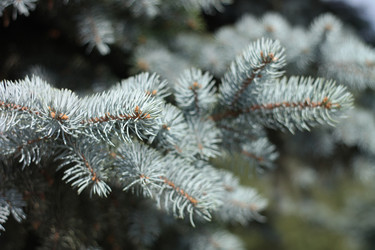 Similar image 21420706