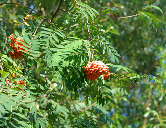 Similar image 21420713