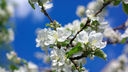 Similar image 21420714