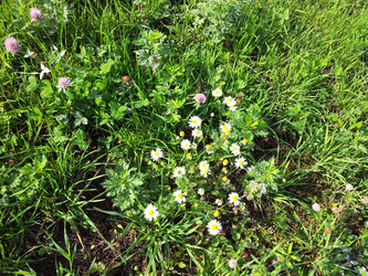 Similar image 21420719