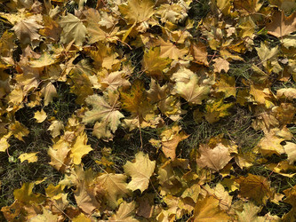 Similar image 21420730