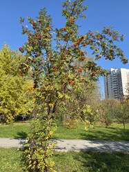 Similar image 21420733