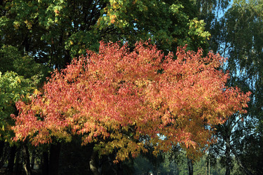 Similar image 21420734