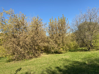 Similar image 21420736