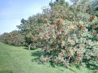 Similar image 21420737