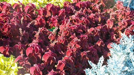 Similar image 21420738