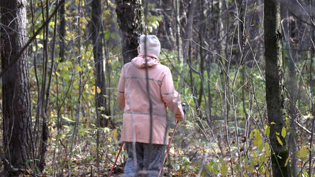 Similar image 21424037