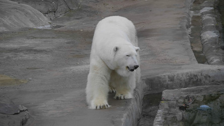 Similar image 21431335