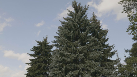 Similar image 21431339