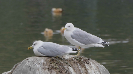 Similar image 21431343