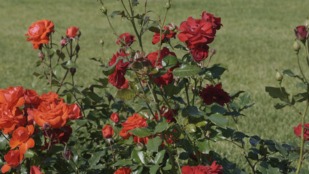 Similar image 21431344