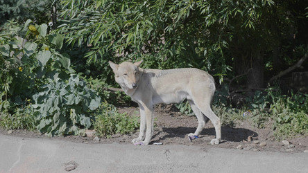 Similar image 21431348