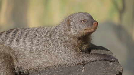 Similar image 21431350