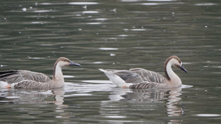 Similar image 21431351