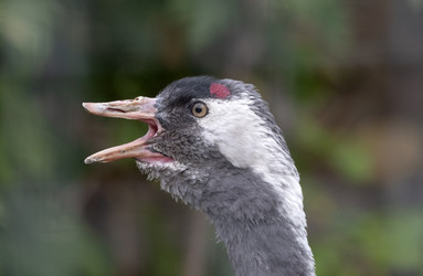 Similar image 21423497