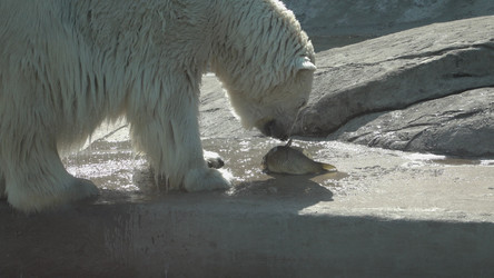 Similar image 21424046