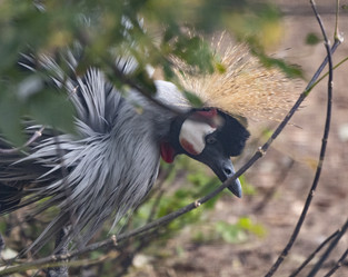 Similar image 21424049