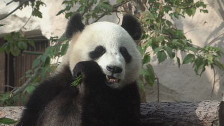 Similar image 21424050