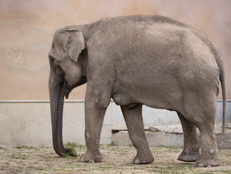 Similar image 21424051