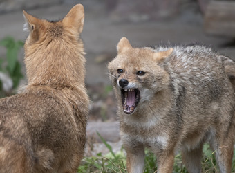 Similar image 21424055