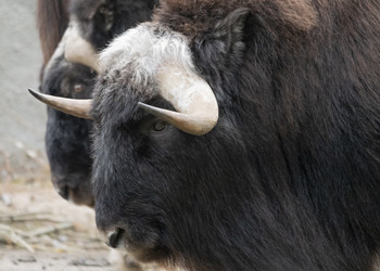 Similar image 21424056