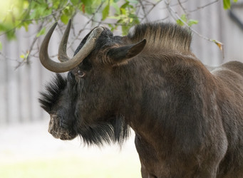 Similar image 21424057