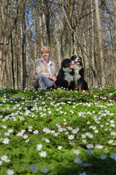 Similar image 21398452