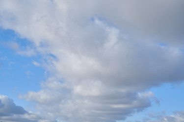 Similar image 21398474