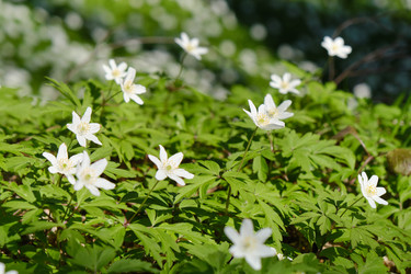 Similar image 21398485