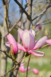 Similar image 21398489