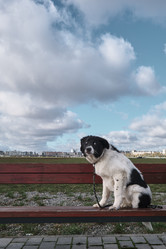 Similar image 21398498