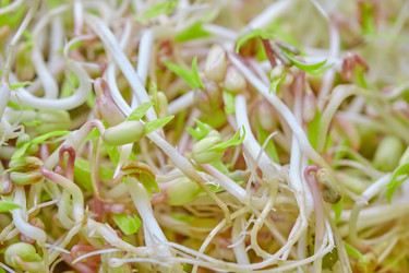 Similar image 21398500