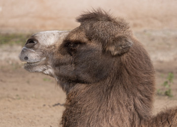 Similar image 21423500