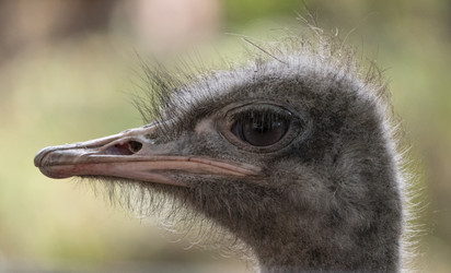 Similar image 21423503