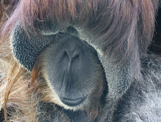 Similar image 21424076