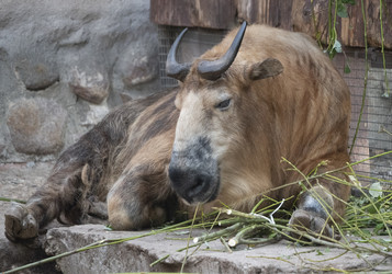 Similar image 21424318