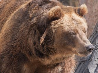 Similar image 21424320