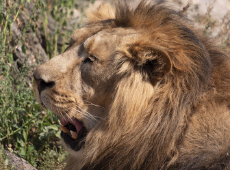 Similar image 21431355