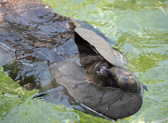 Similar image 21431356