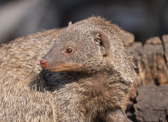 Similar image 21424080