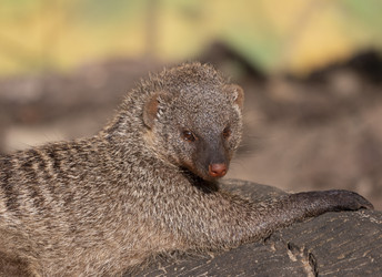 Similar image 21424084