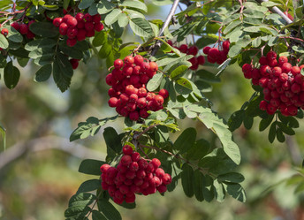 Similar image 21424085